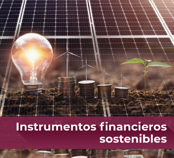 Sitio Instrumentos Financieros Sostenibles