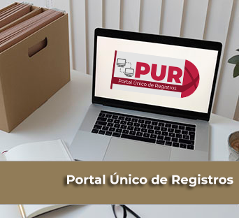 Portal Único de Registros